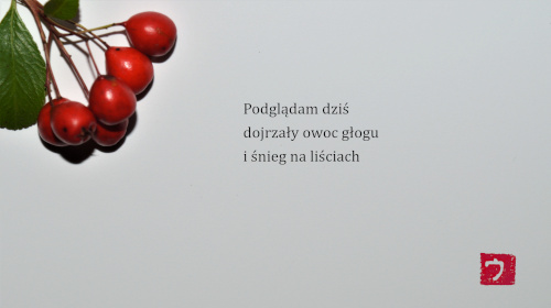 fot.: Urszula Winiarska